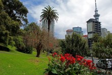 Альберт Парк — на мой вкус, самое интересное место в Окленде