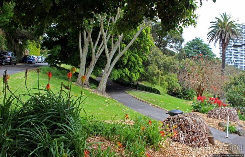 Альберт Парк — на мой вкус, самое интересное место в Окленде