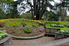 Альберт Парк — на мой вкус, самое интересное место в Окленде