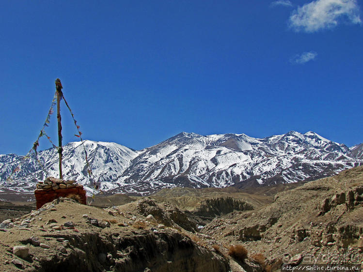 Мустанг, обратная перемотка. Возвращение с конного похода