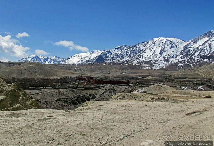 Мустанг, обратная перемотка. Возвращение с конного похода