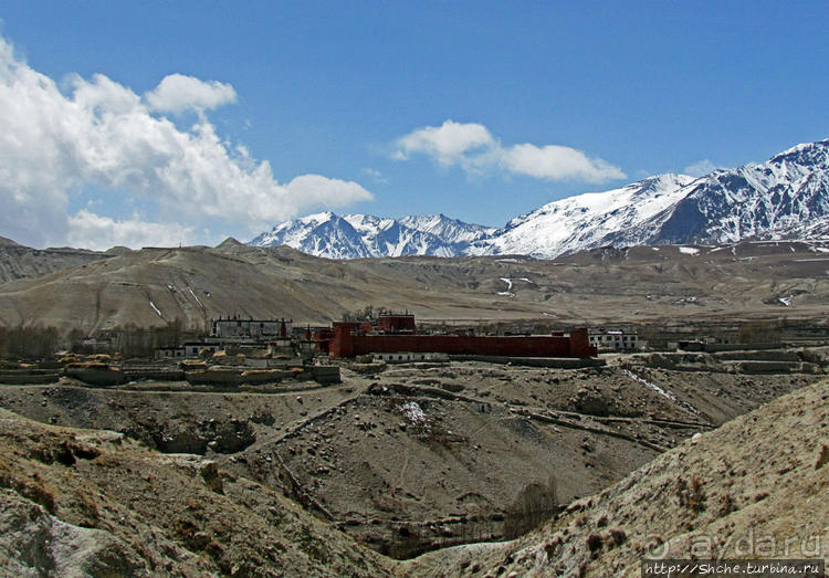 Мустанг, обратная перемотка. Возвращение с конного похода