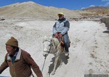 Мустанг, обратная перемотка. Возвращение с конного похода