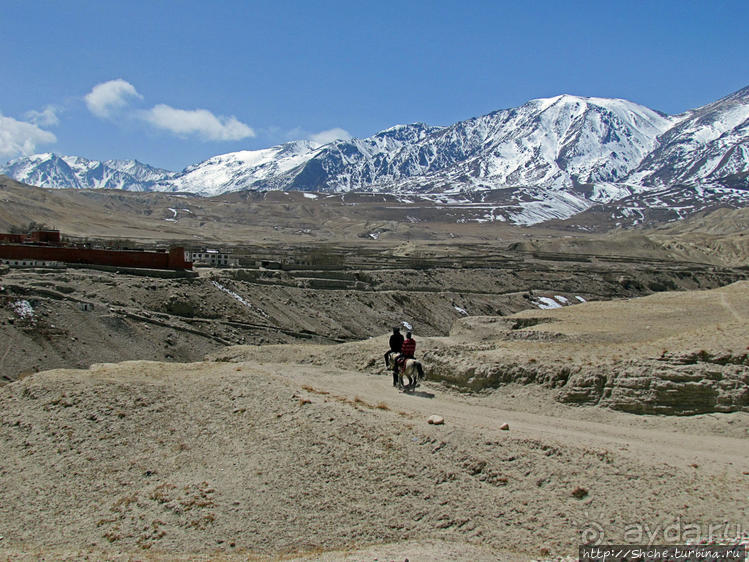 Мустанг, обратная перемотка. Возвращение с конного похода