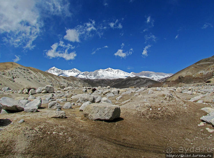 Мустанг, обратная перемотка. Возвращение с конного похода