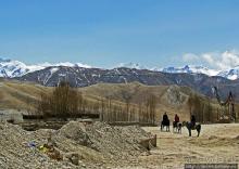 Мустанг, обратная перемотка. Возвращение с конного похода