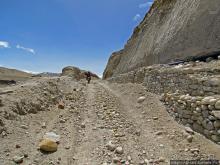 Мустанг, обратная перемотка. Возвращение с конного похода