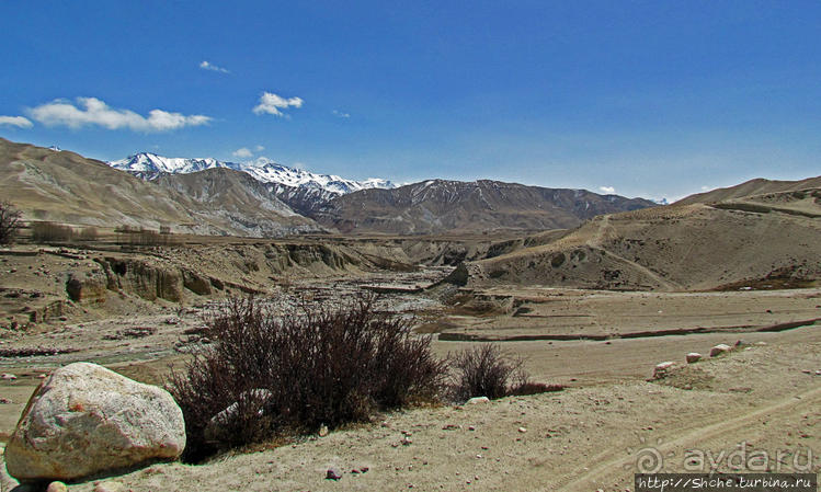 Мустанг, обратная перемотка. Возвращение с конного похода