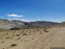 Мустанг, обратная перемотка. Возвращение с конного похода