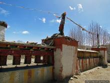 Мустанг, обратная перемотка. Возвращение с конного похода