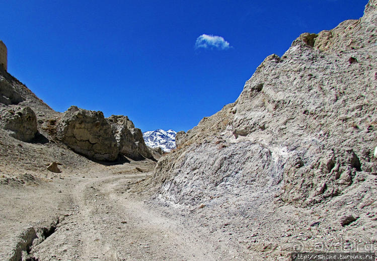 Мустанг, обратная перемотка. Возвращение с конного похода
