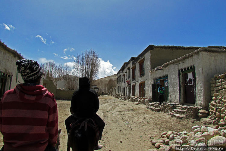 Мустанг, обратная перемотка. Возвращение с конного похода
