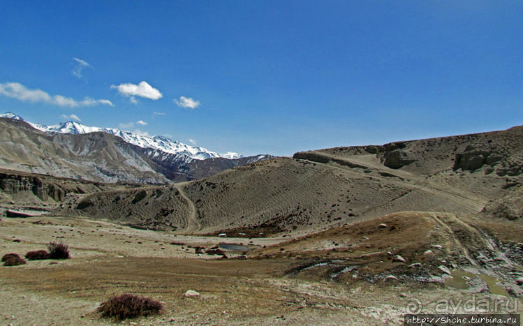Мустанг, обратная перемотка. Возвращение с конного похода