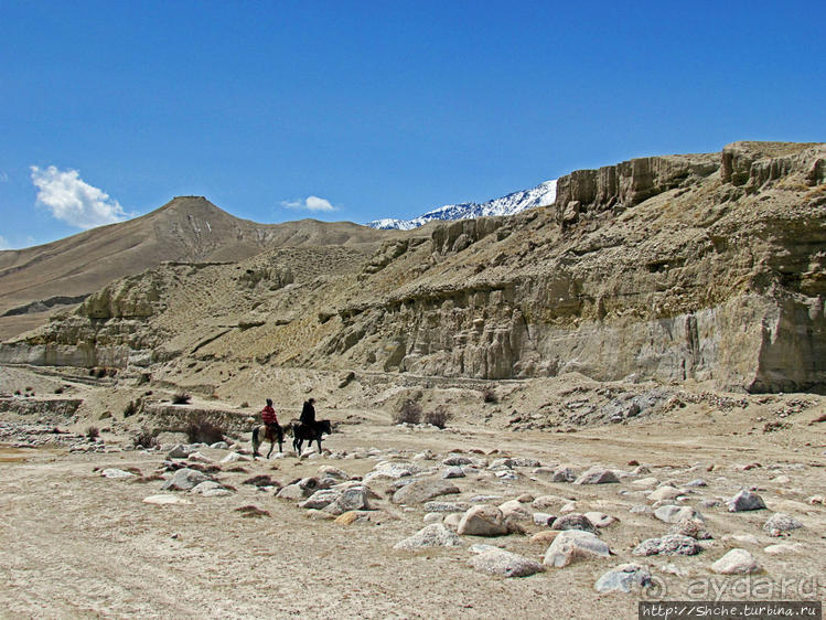 Мустанг, обратная перемотка. Возвращение с конного похода