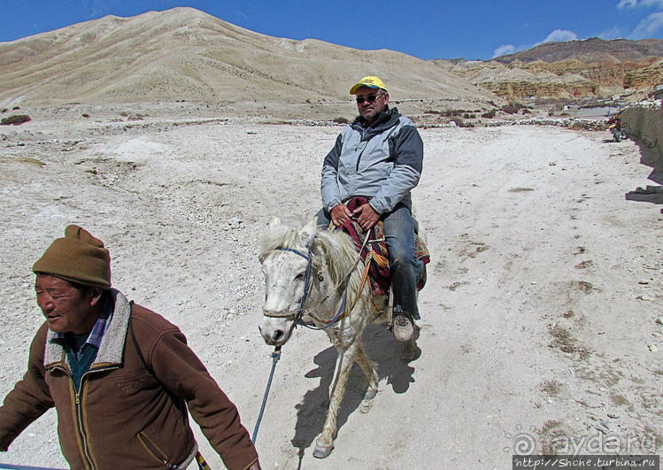 Мустанг, обратная перемотка. Возвращение с конного похода