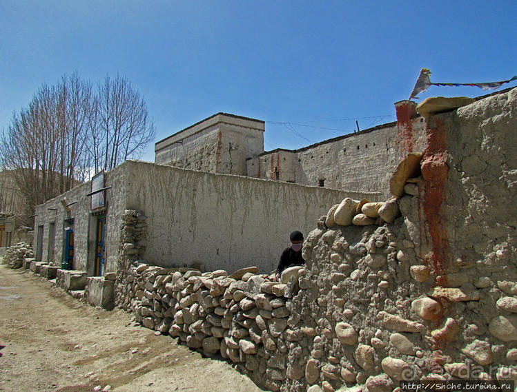 Мустанг, обратная перемотка. Возвращение с конного похода