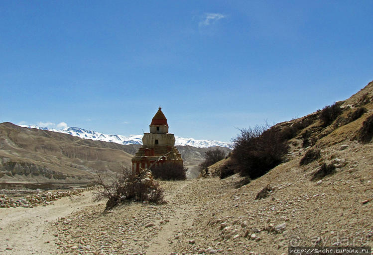 Мустанг, обратная перемотка. Возвращение с конного похода