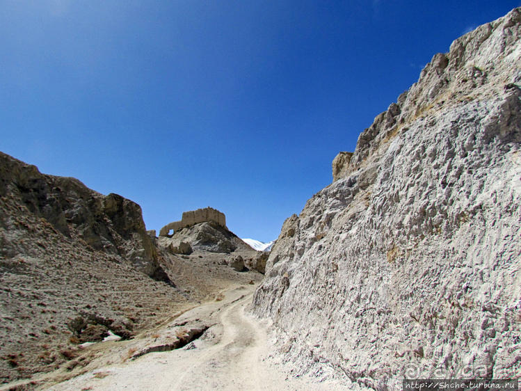 Мустанг, обратная перемотка. Возвращение с конного похода