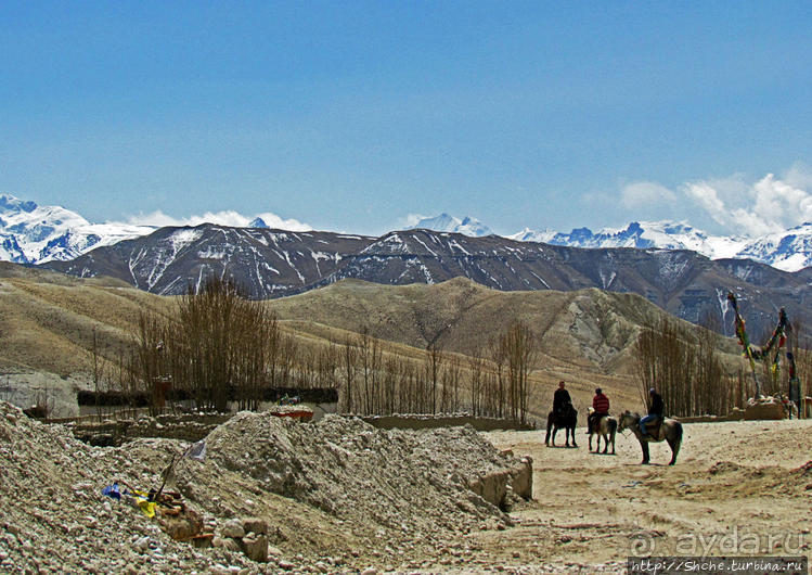 Мустанг, обратная перемотка. Возвращение с конного похода
