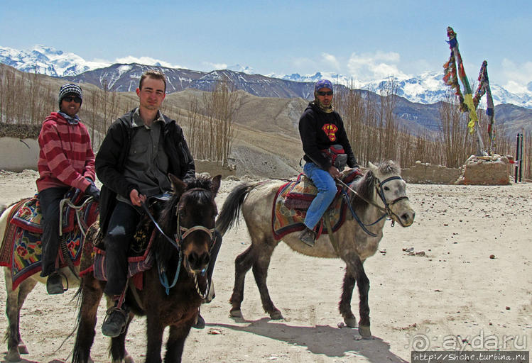 Мустанг, обратная перемотка. Возвращение с конного похода