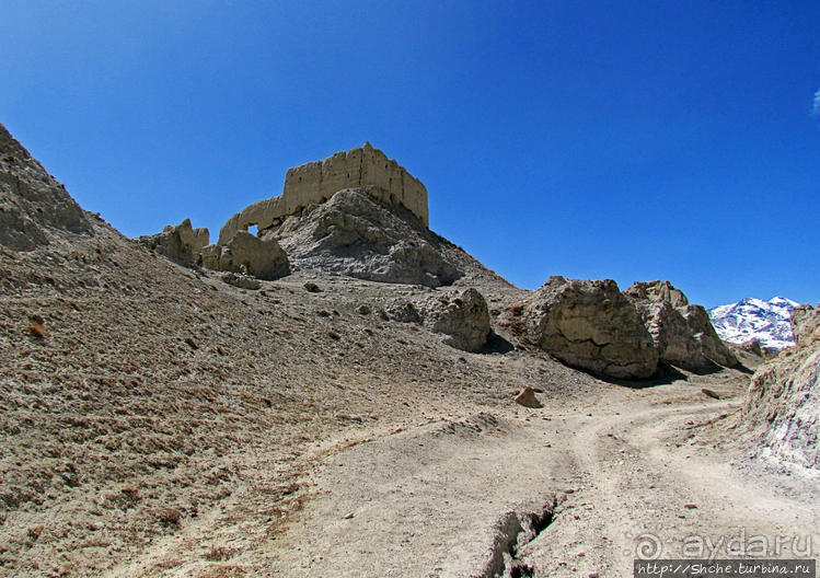 Мустанг, обратная перемотка. Возвращение с конного похода