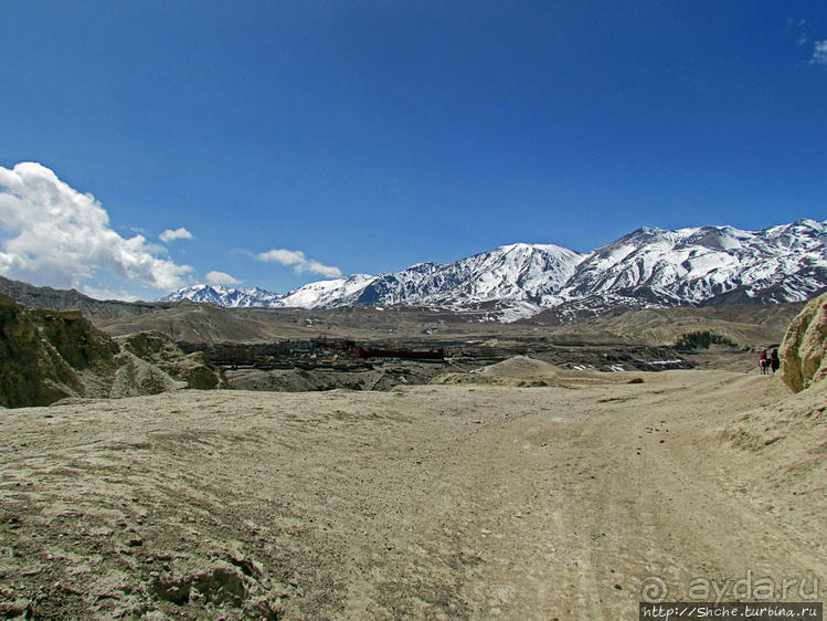 Мустанг, обратная перемотка. Возвращение с конного похода