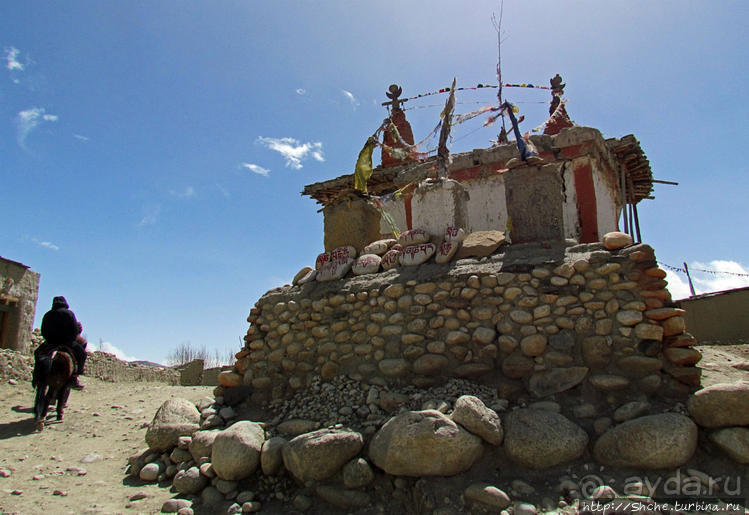 Мустанг, обратная перемотка. Возвращение с конного похода