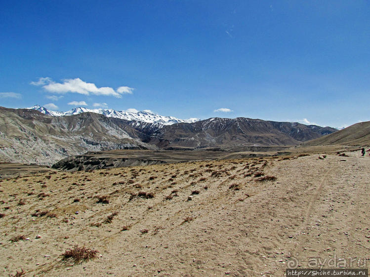 Мустанг, обратная перемотка. Возвращение с конного похода