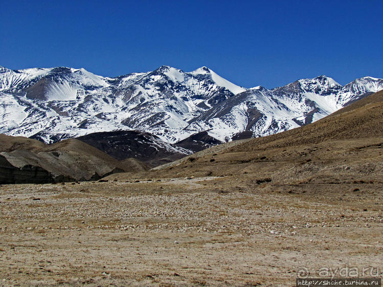 Мустанг, обратная перемотка. Возвращение с конного похода