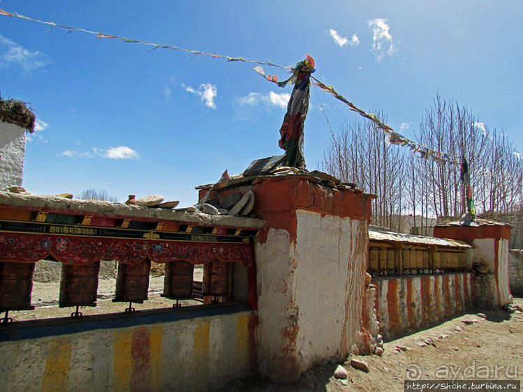 Мустанг, обратная перемотка. Возвращение с конного похода