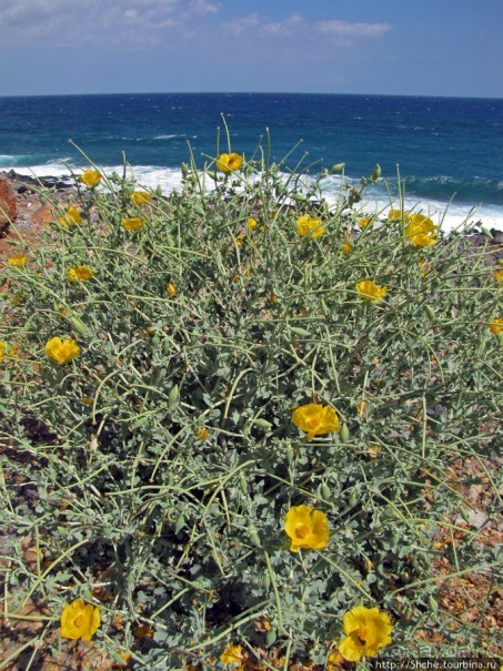 Дикий берег Крита - прогулка из Milatos в Sissi и назад