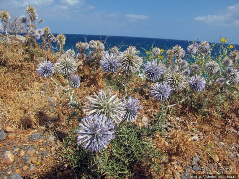 Дикий берег Крита - прогулка из Milatos в Sissi и назад