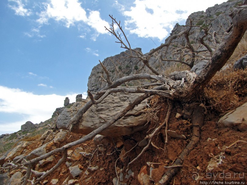 Дикий берег Крита - прогулка из Milatos в Sissi и назад
