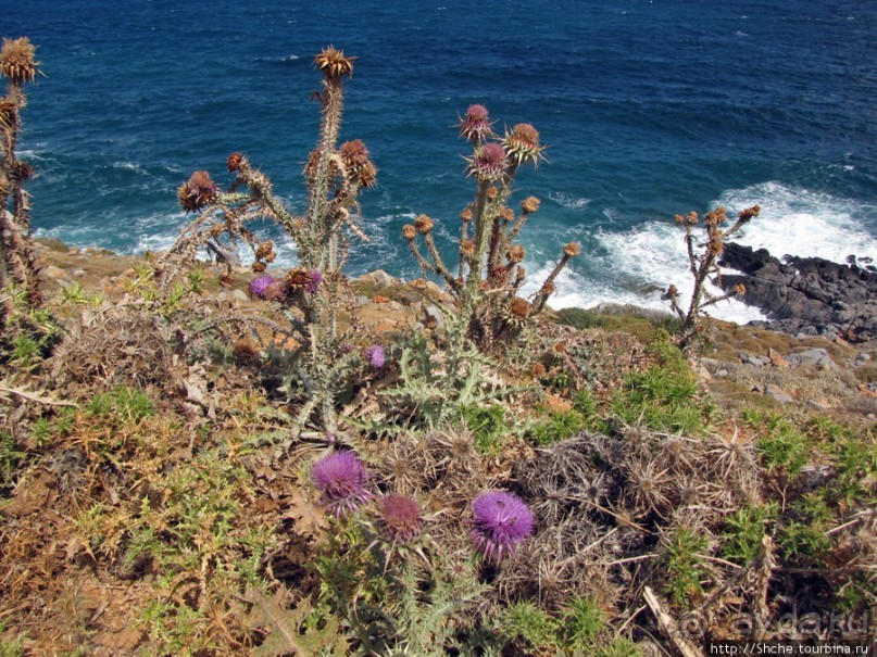 Дикий берег Крита - прогулка из Milatos в Sissi и назад