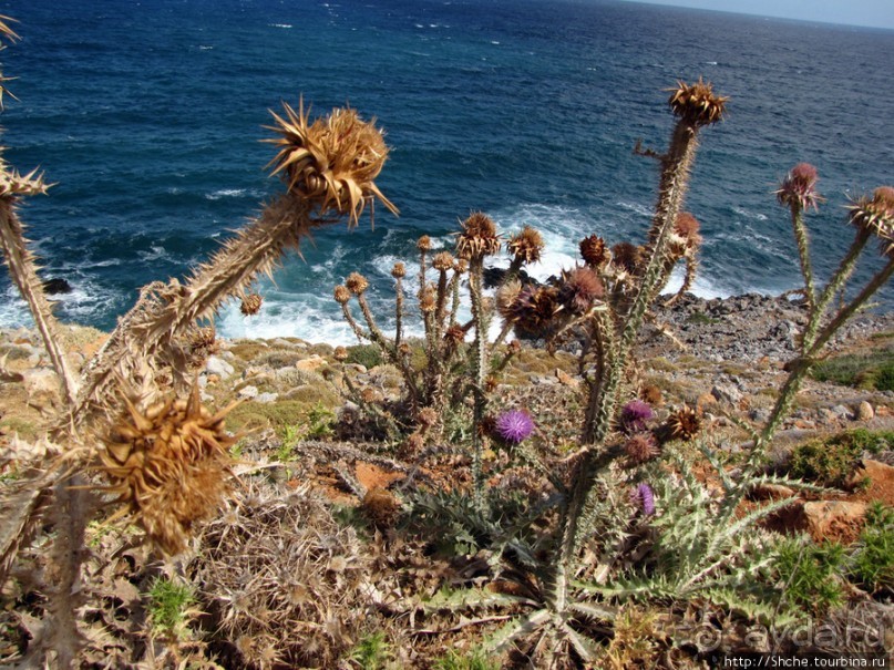 Дикий берег Крита - прогулка из Milatos в Sissi и назад