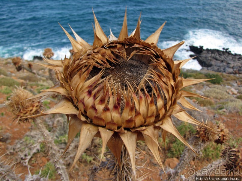 Дикий берег Крита - прогулка из Milatos в Sissi и назад