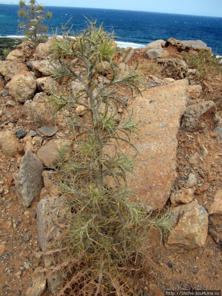 Дикий берег Крита - прогулка из Milatos в Sissi и назад