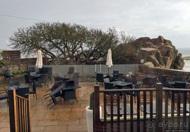 Популярный паб "Белая лошадь"