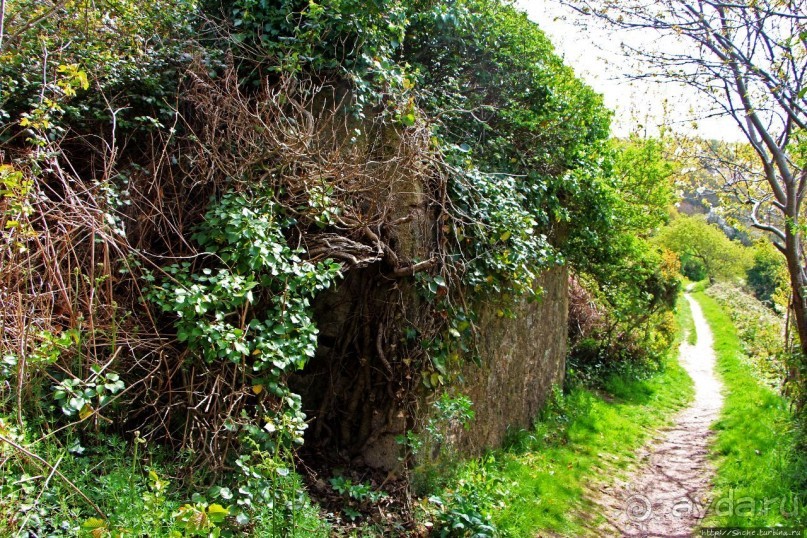 Некогда грозный, ныне гостеприимный форт на севере Джерси