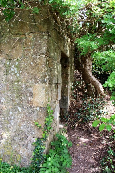 Альбом отзыва "Некогда грозный, ныне гостеприимный форт на севере Джерси"