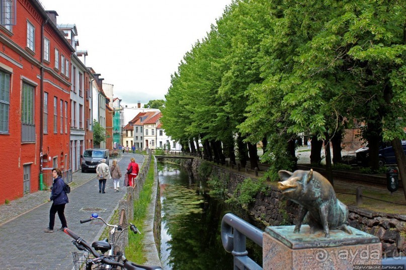 Альбом отзыва "Три поросенка (первое слово глагол)"