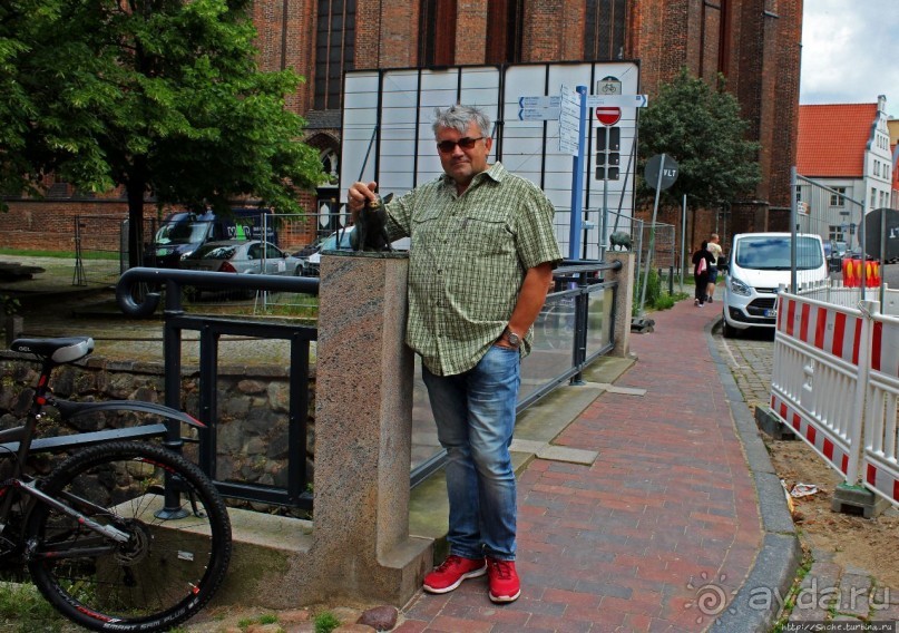 Альбом отзыва "Три поросенка (первое слово глагол)"