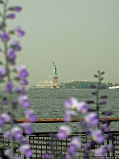 На воде, суше и в воздухе-одним глазком взглянули на Свободу