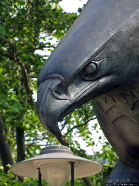 На воде, суше и в воздухе-одним глазком взглянули на Свободу