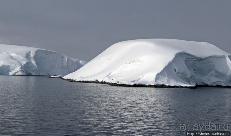 Yalour is. - самая южная точка пути. Знакомьтесь - айсдятел