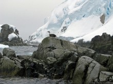 Yalour is. - самая южная точка пути. Знакомьтесь - айсдятел