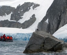 Yalour is. - самая южная точка пути. Знакомьтесь - айсдятел