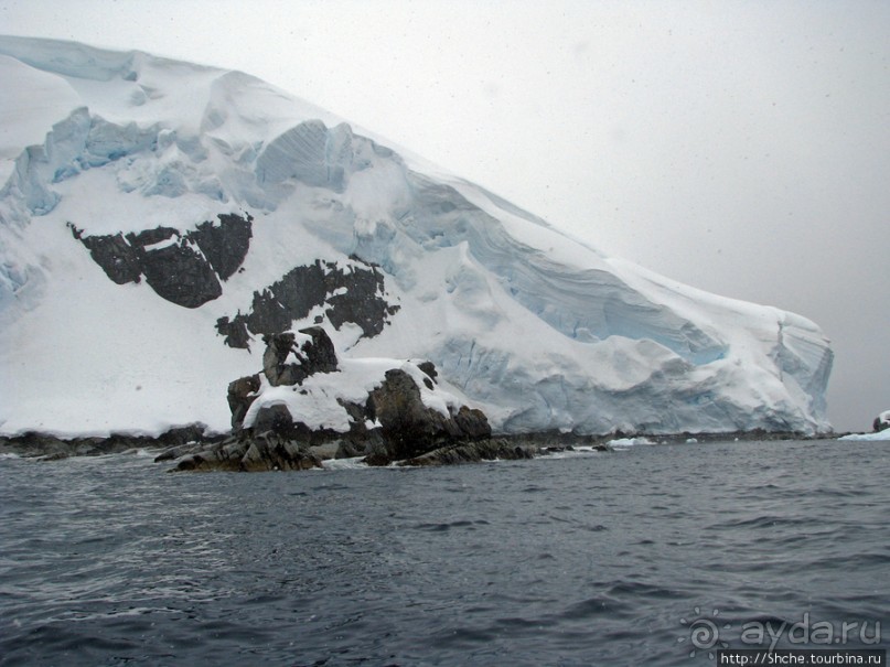 Yalour is. - самая южная точка пути. Знакомьтесь - айсдятел