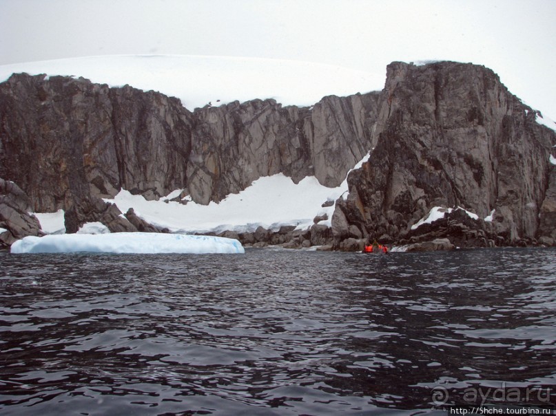 Yalour is. - самая южная точка пути. Знакомьтесь - айсдятел