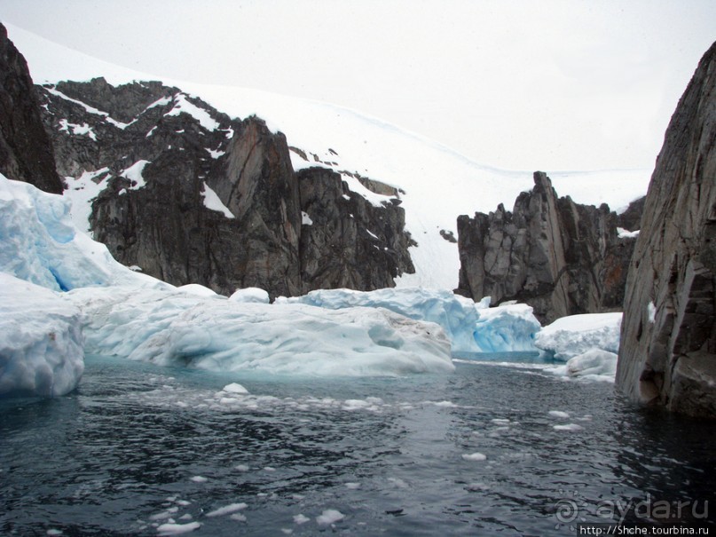 Yalour is. - самая южная точка пути. Знакомьтесь - айсдятел